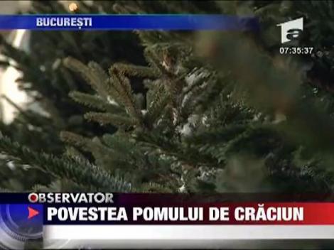 Povestea pomului de Craciun