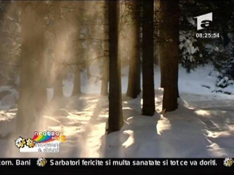 Cristian Pomohaci - Noua azi ne-a rasarit