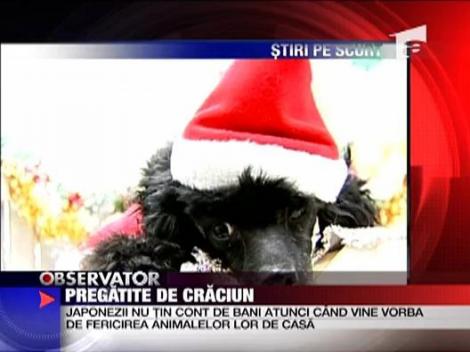 Pregatite de Craciun