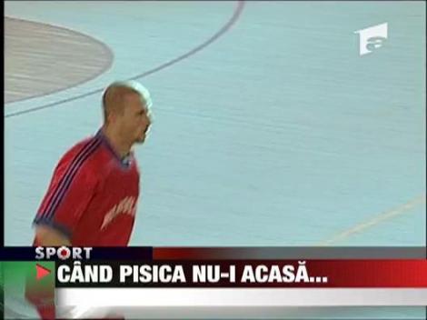 Cand pisica nu-i acasa...