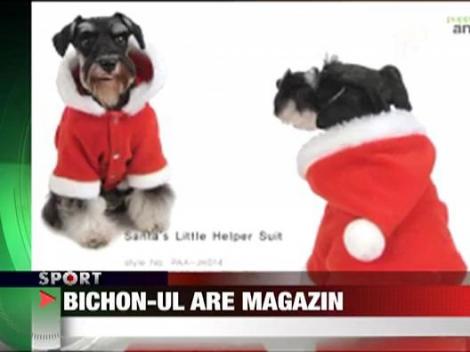 Bichonul are pet-shop