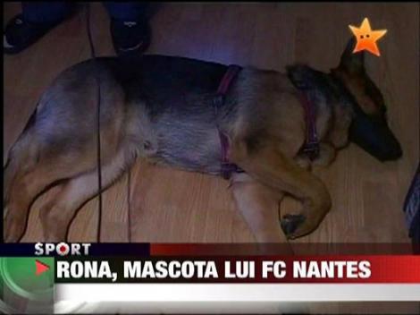 Rona, mascota lui FC Nantes