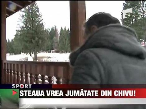 Steaua vrea jumatate de Chivu