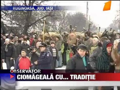 Ciomageala cu... traditie