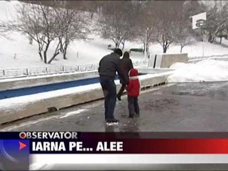 Iarna pe.. alee
