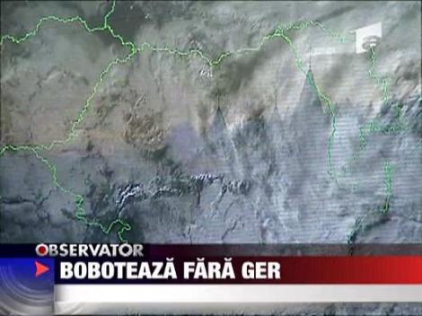 Boboteaza fara ger