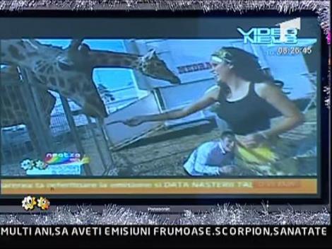 Dani, Daniela si girafele! Moment al anului 2009