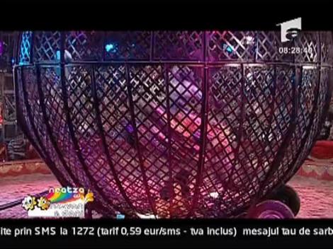 Daniela in Bila Mortii! Moment al anului 2009..... ( Emisiunea revine din 18 ianuarie )