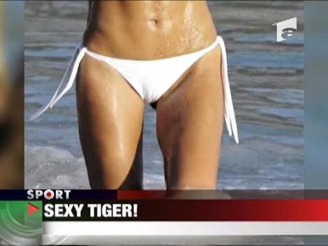 Sexy Tiger!