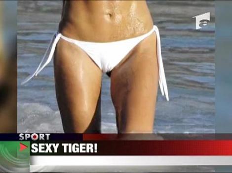 Sexi Tiger