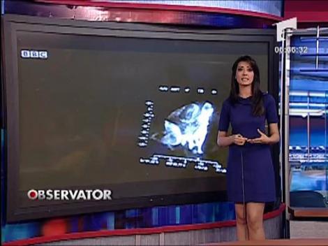 Salvata cu camera cu infrarosu