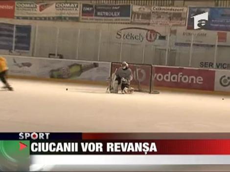 Ciucanii vor revansa!
