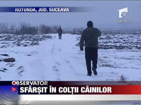 Sfarsit in coltii cainilor