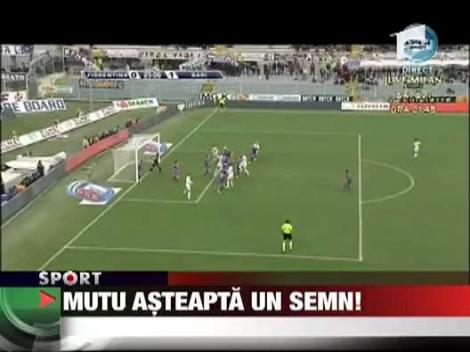 Mutu asteapta un semn