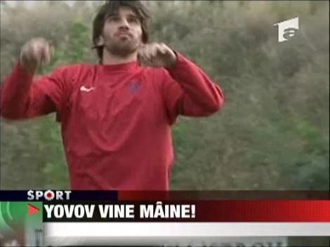 Yovov vine maine!