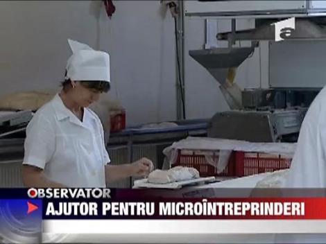 Ajutor pentru microintreprinderi