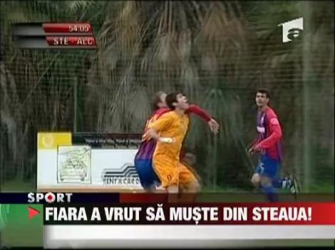 Fiara a vrut sa muste din Steaua