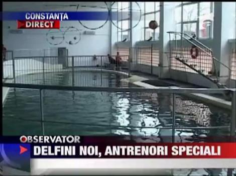 Delfini noi, antrenori speciali