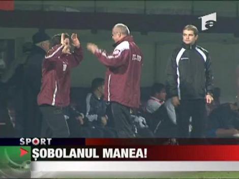 Sobolanul Manea