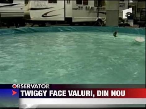 Twiggy face valuri, din nou
