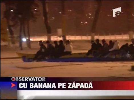 Cu banana pe zapada