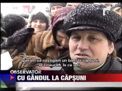 Sute de femei s-au inghesuit la Botosani pentru un loc la cules capsuni in Spania