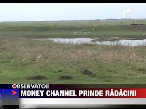 The Money Channel Consulting s-a apucat si de impadurit