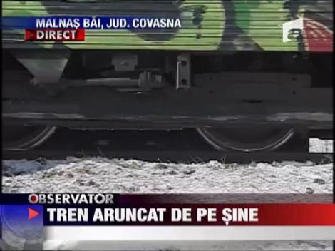 Tren deraiat de ger