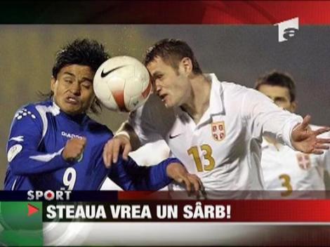 Steaua il vaneaza pe Tutorici, de la Steaua Rosie Belgrad!