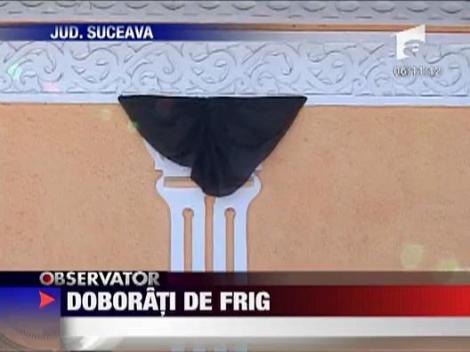 Doborati de frig