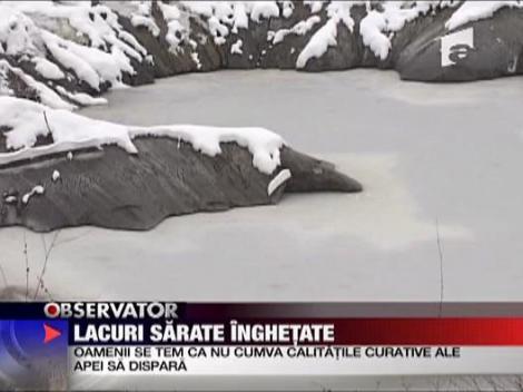 Patinoar pe lac de sare