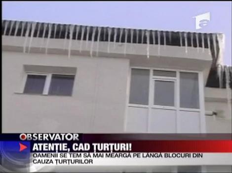 Atentie, cad turturi!