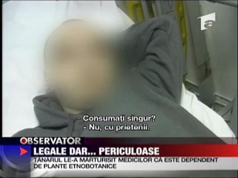 Ierburile etnobotanice sint legale, dar periculoase