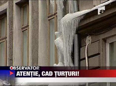 Atentie, cad turturi!