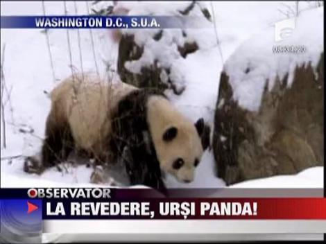 La revedere, ursi panda!