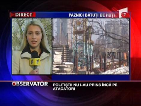 Paznici batuti mar de hoti