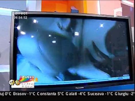 Vezi cum se mai lauda cocalarii pe Internet!