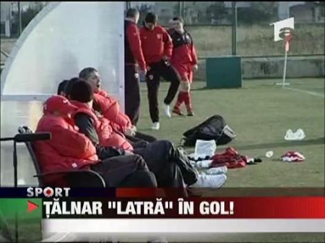 Talnar latra, cainii joaca