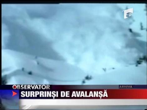 Surprins de avalansa in Bucegi