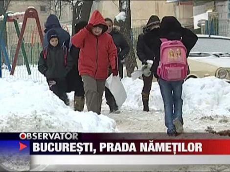 Bucuresti, prada nametilor