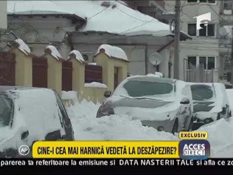 Cine e cea mai harnica vedeta la deszapezire?