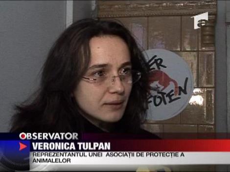 Ouale din hypermarketuri, de proasta calitate