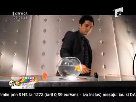 Deepcentral - In love