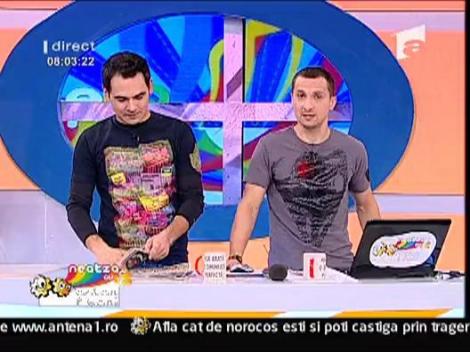 Carnavalul de la Venetia