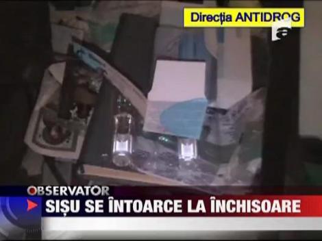 Sisu se intoarce dupa gratii