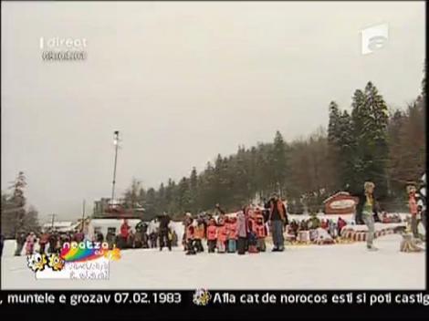 Anamaria Ferentz - Fresh