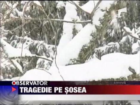 Romani, morti in Bulgaria