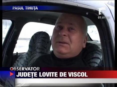 Judete paralizate de viscol