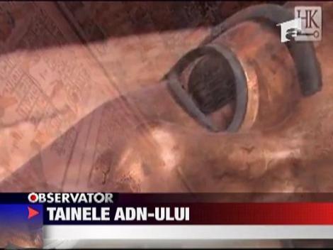 Tainele AND-ului lui Tutankamun