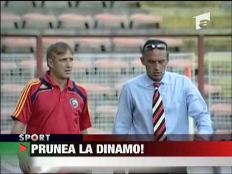 Florin Prunea, manager sportiv la Dinamo
